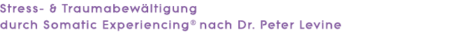 Stress- und Traumabewältigung durch Somatic Experiencing nach Dr. Peter Levine